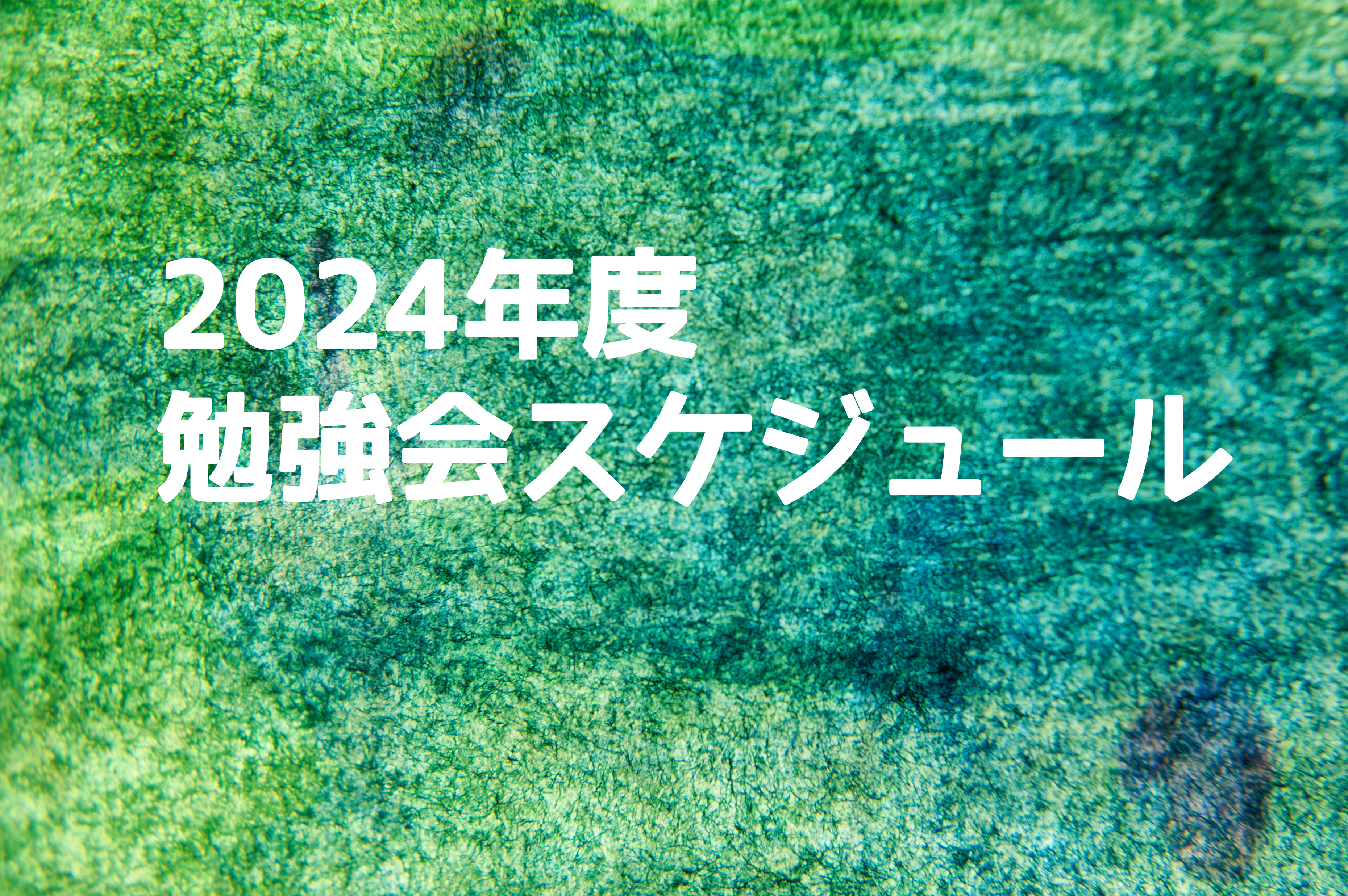 2024年度 勉強会スケジュールのイメージ